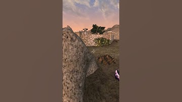 Killing the adoring fan in Morrowind every day until Skywind and Skyblivion are released Day - 816