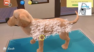 Animal Hospital #animalhospital - Nintendo Switch Gameplay No Commentary Undocked