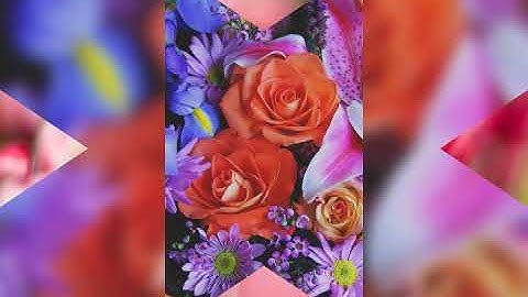 ماتيسر من سورة البقرة بصوت سعد الغامدي