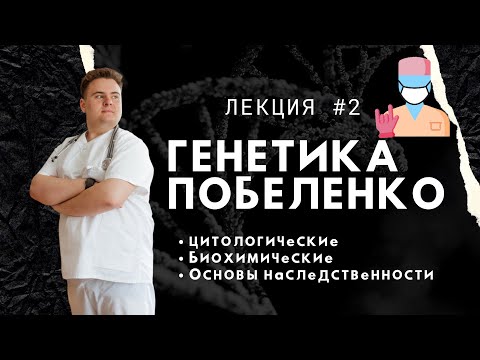 Видео: Какие два компонента ДНК показаны в гизмо?