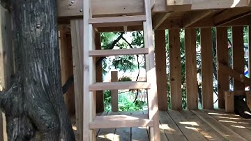 Treehouse - loft ladder & main ladder