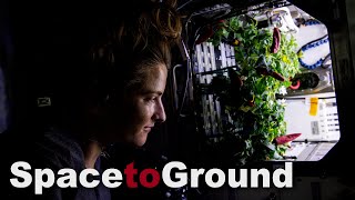 Space to Ground: Space Gardening: 08/12/2022