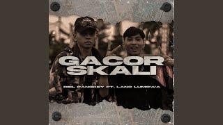 GACOR SKALI