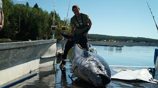 MASSIVE 9 FOOT TUNA! I'm speechless..(Catch & cook!)