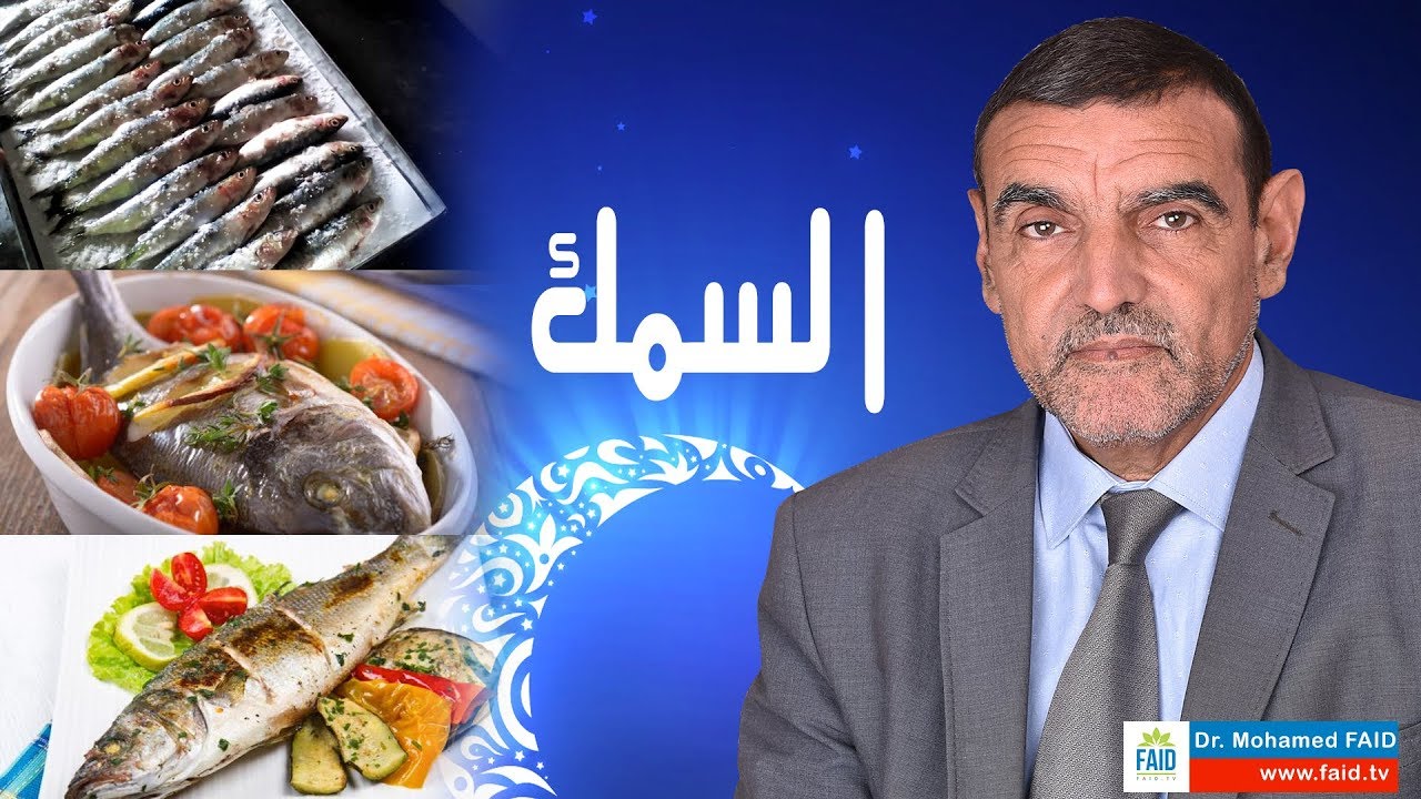 السمك | الدكتور محمد فائد
