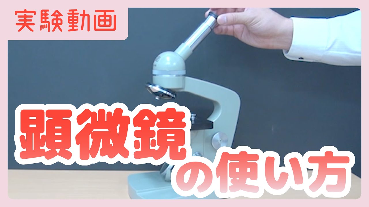 【実験動画】顕微鏡の使い方