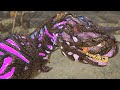 [1] Corrupted Rexes! The Dangers Of Extinction! (ARK Island To Extinction: Extinction)