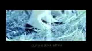 Super Junior DayDream MV