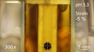 Light-Triggered Soft Artificial Muscles: Molecular-Level Amplification of Actuation Control Signals screenshot 5