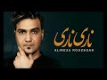 Alireza Roozegar - Nari Nari ( علیرضا روزگار - ناری ناری )