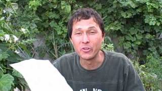 Organic Control For Pill Bugs Aka Sow Bugs And Where To Get Rock Dust