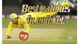 best catches so far | icc cricket world cup 2019 |