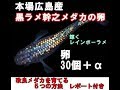 ヤフオクで落札した黒ラメ幹之めだか