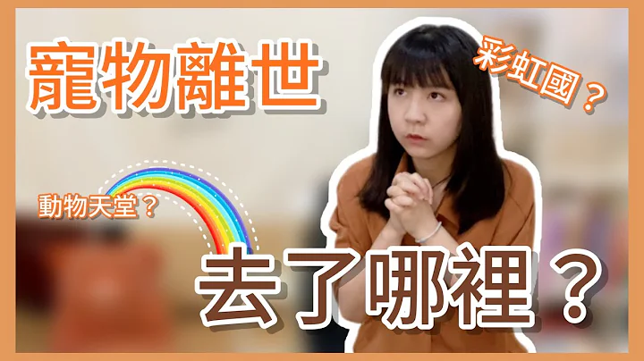 【Mow想說】寵物離世後去了哪裡？EP1.彩虹國是什麼？ - 天天要聞