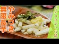 【ミシュラン一つ星】やみつき無限長芋（懐石 本多/本多悟シェフ）