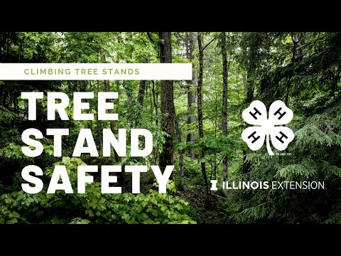 Be a Safe Hunter: Climbing Tree Stand Safety
