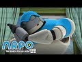 완벽한 낮잠을 위하여・ 어린이 만화・어린이를위한 재미있는 비디오