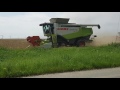 Gerstenernte 2017 2x Claas Lexion Terra Trac ( 600 u. 770 ) + Einzugsverstopfung am 770