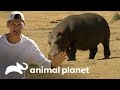 Frank nos muestra al animal más peligroso de África | Wild Frank vs Darran | Animal Planet