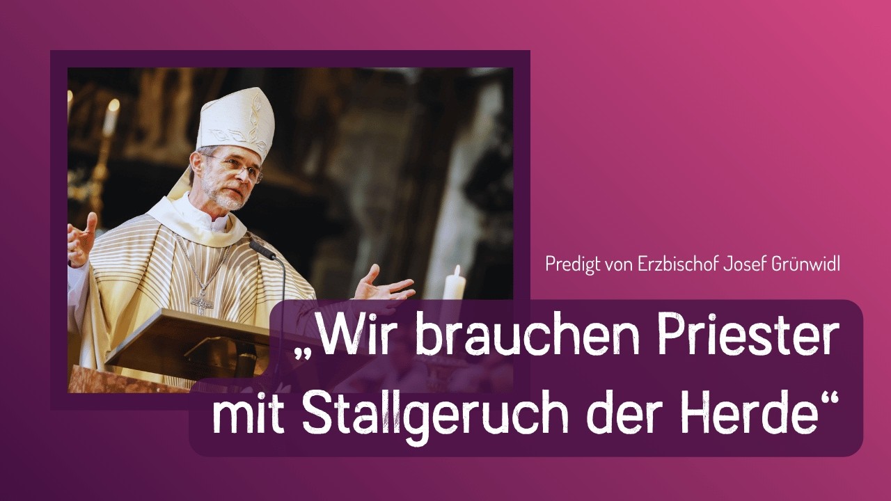 "Wir brauchen Priester mit dem Stallgeruch der Herde!"