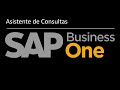 Capacitacion Tecnica SAP Business One B1 v10 - Asistente de Consultas