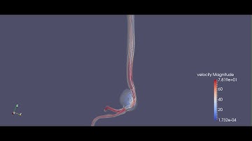 Blood Flow inside AA