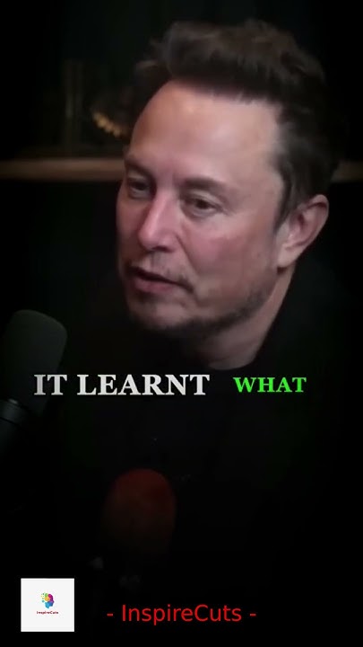 Elon Musk's AI Brain How Tesla Cars Learn Like Humans The Future of