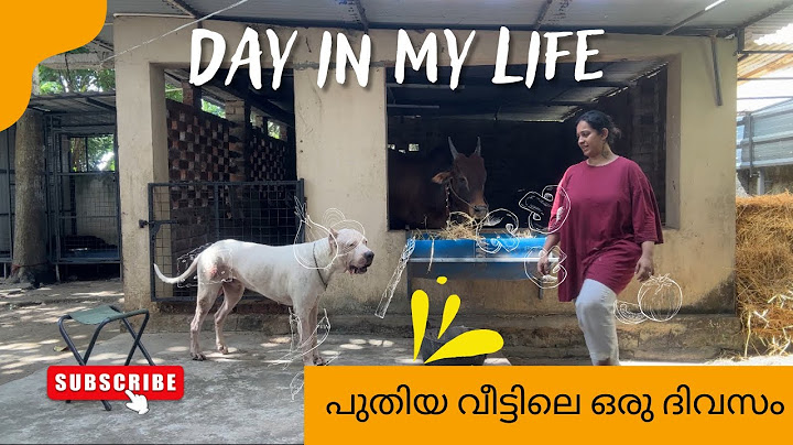 A day in my new home | Sowbhagya Venkitesh