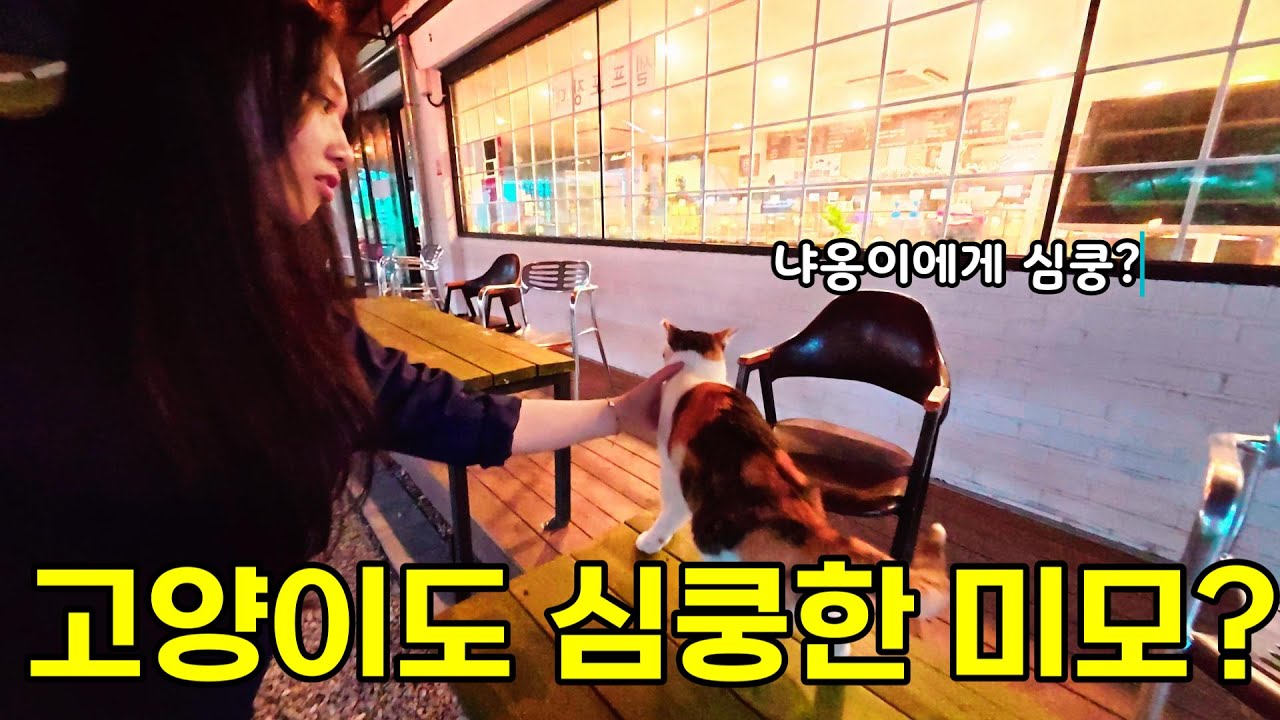 아내의 아이돌?친구 집들이(2편+팔당카페) 뽀빠이♡올리브 [국제커플]