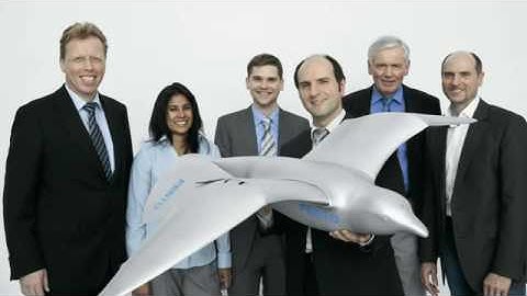 A robot that flies like a bird