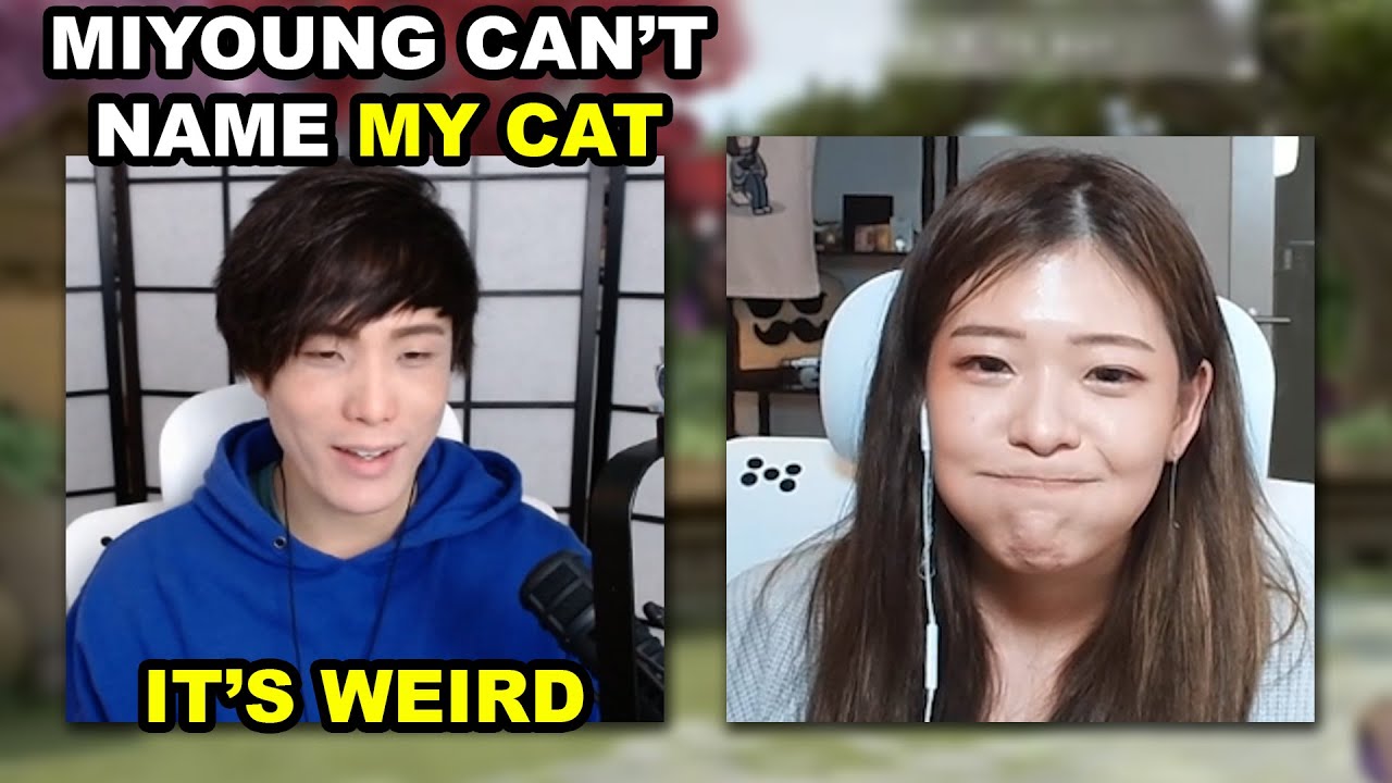 Sykkuno Trolls Miyoung & Says She Can't Name Lil Cat Because It's His Cat