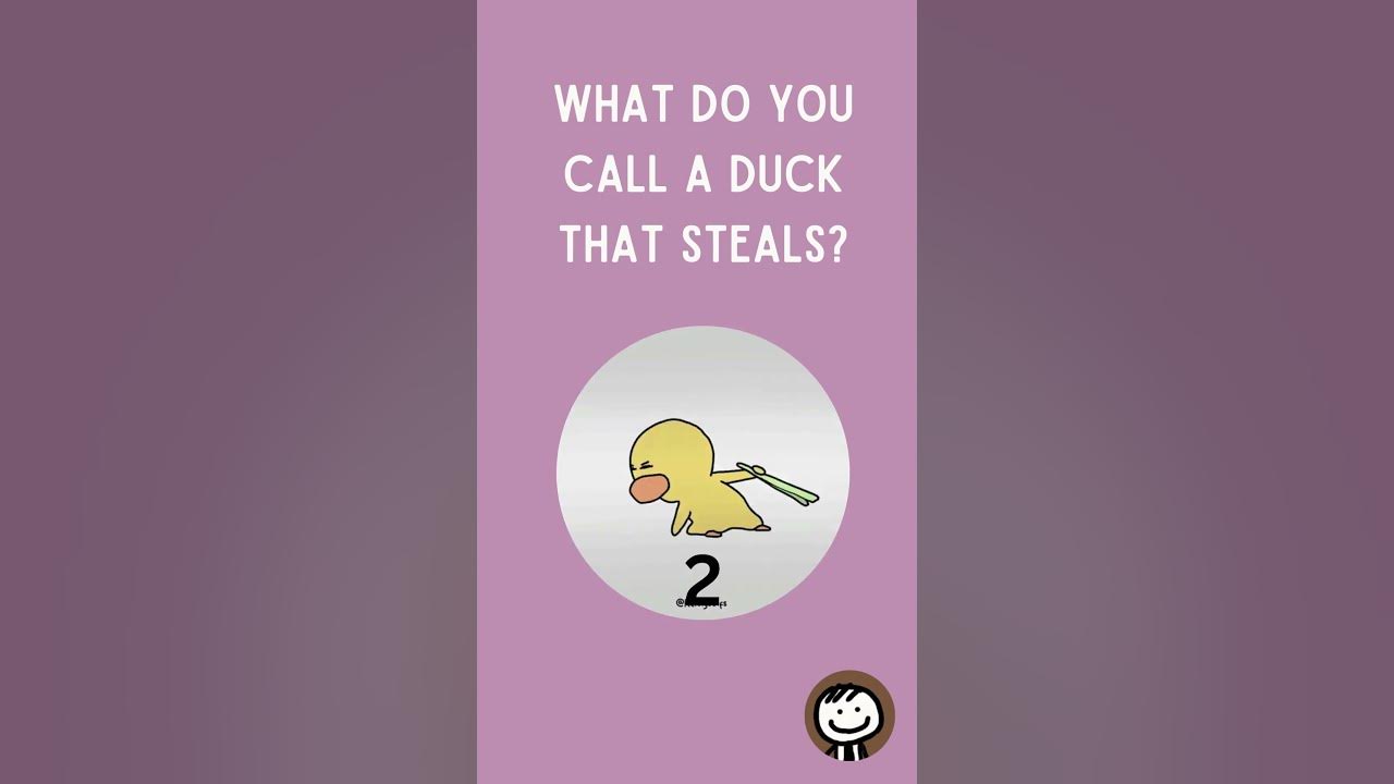 What do you call a duck that steals? - YouTube