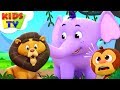 Zoo Song | The Supremes Cartoons | Kindergarten Nursery Rhymes For Children - Kids TV