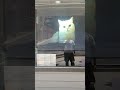 Does it all SFEG projector screen technology for your home or business
