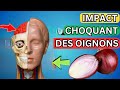  manger des oignons crus  la raction irrversible dont personne ne parle 