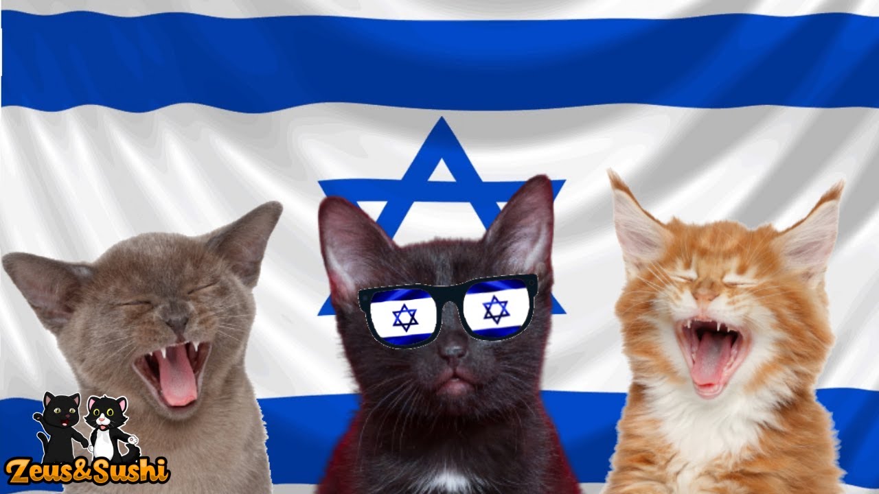 Israel National Anthem With Lyrics Cats Sing Israel National Anthem