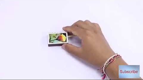 1 Best Match Stick Powered  Cardboard Jet Experiment