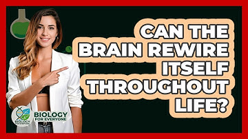 Can The Brain Rewire Itself Throughout Life? - Biology For Everyone