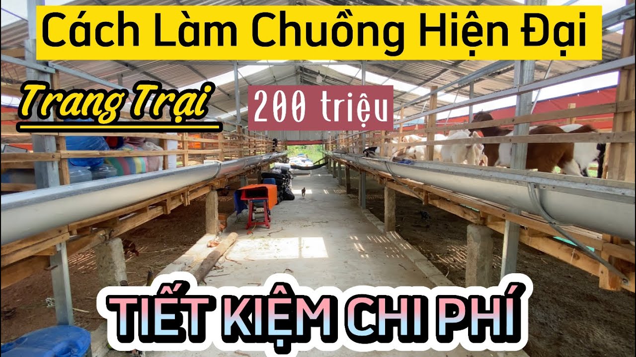 Hướng Dẫn Cách Làm Chuồng Dê Hiện Đại Tiết Kiệm Chi Phí / Nongdan85