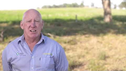 Coopers Tech Team Footrot in Sheep 