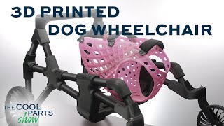 3D Printed Custom Dog Wheelchair |The Cool Parts Show #44