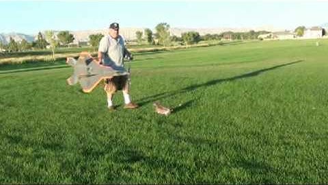 Gina chases the RC Powers F22 V2