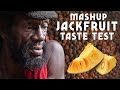 Mashup Jackfruit Taste Test!