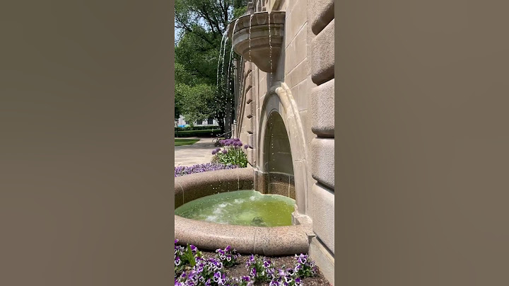 University of Pittsburgh in the summer is such a vibe! ☀️