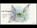 Seed to Strain Journey
