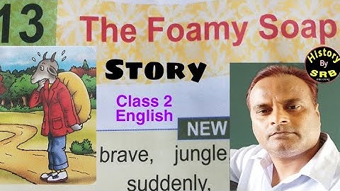 The Foamy Soap/ Story/Chapter 13/ DAV class 2 My English Reader/SRB