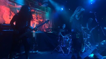 Jungle Rot -  Eat Fuck Kill + Paralyzed Prey