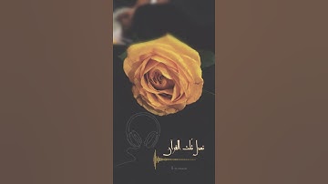 سورة الإخلاص - حالات واتس اب