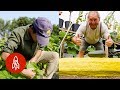 These Four Farmers Are Plowing Ahead