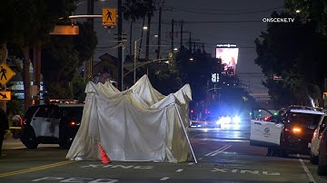 Fatal Car Vs Pedestrian Hit And Run, Pico-Union